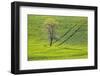 USA, Washington State, Palouse, Spring Rolling Hills of Wheat-Terry Eggers-Framed Photographic Print