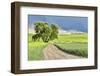 USA, Washington State, Palouse. Storm clouds advancing over Pullman.-Hollice Looney-Framed Photographic Print