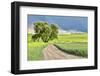 USA, Washington State, Palouse. Storm clouds advancing over Pullman.-Hollice Looney-Framed Photographic Print