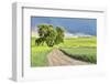 USA, Washington State, Palouse. Storm clouds advancing over Pullman.-Hollice Looney-Framed Photographic Print