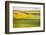 USA, Washington State. Palouse Valley, fields of yellow mustard and other crops.-Alison Jones-Framed Photographic Print