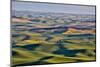 USA, Washington State, Palouse. View from Steptoe Butte.-Hollice Looney-Mounted Photographic Print