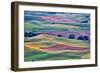 USA, Washington State, Palouse. View from Steptoe Butte.-Hollice Looney-Framed Photographic Print