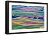 USA, Washington State, Palouse. View from Steptoe Butte.-Hollice Looney-Framed Photographic Print