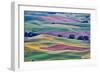 USA, Washington State, Palouse. View from Steptoe Butte.-Hollice Looney-Framed Photographic Print