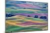 USA, Washington State, Palouse. View from Steptoe Butte.-Hollice Looney-Mounted Photographic Print