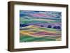 USA, Washington State, Palouse. View from Steptoe Butte.-Hollice Looney-Framed Photographic Print