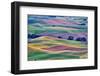 USA, Washington State, Palouse. View from Steptoe Butte.-Hollice Looney-Framed Photographic Print