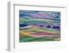 USA, Washington State, Palouse. View from Steptoe Butte.-Hollice Looney-Framed Photographic Print