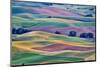USA, Washington State, Palouse. View from Steptoe Butte.-Hollice Looney-Mounted Photographic Print