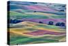 USA, Washington State, Palouse. View from Steptoe Butte.-Hollice Looney-Stretched Canvas