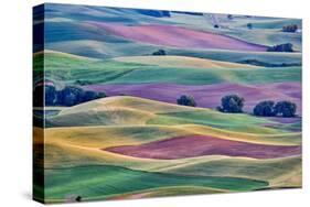 USA, Washington State, Palouse. View from Steptoe Butte.-Hollice Looney-Stretched Canvas