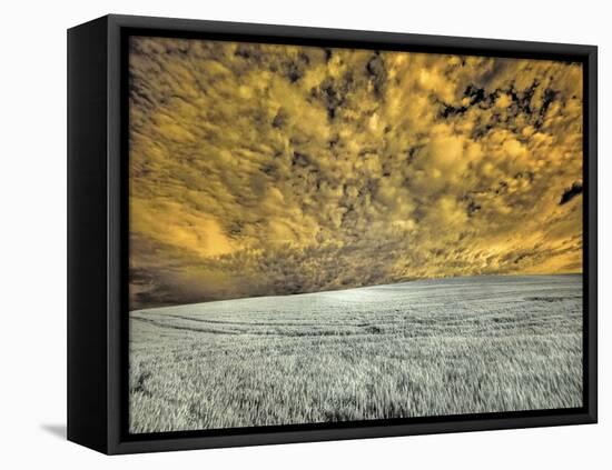 USA, Washington State, Palouse. wheat field and clouds-Terry Eggers-Framed Stretched Canvas