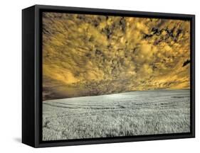 USA, Washington State, Palouse. wheat field and clouds-Terry Eggers-Framed Stretched Canvas