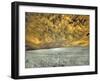 USA, Washington State, Palouse. wheat field and clouds-Terry Eggers-Framed Photographic Print