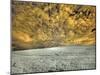 USA, Washington State, Palouse. wheat field and clouds-Terry Eggers-Mounted Photographic Print