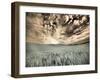 USA, Washington State, Palouse. wheat field and clouds-Terry Eggers-Framed Photographic Print