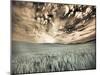 USA, Washington State, Palouse. wheat field and clouds-Terry Eggers-Mounted Photographic Print