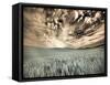 USA, Washington State, Palouse. wheat field and clouds-Terry Eggers-Framed Stretched Canvas