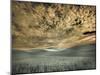 USA, Washington State, Palouse. wheat field and clouds-Terry Eggers-Mounted Photographic Print