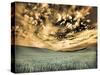 USA, Washington State, Palouse. wheat field and clouds-Terry Eggers-Stretched Canvas