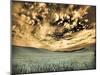 USA, Washington State, Palouse. wheat field and clouds-Terry Eggers-Mounted Photographic Print