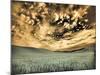 USA, Washington State, Palouse. wheat field and clouds-Terry Eggers-Mounted Photographic Print