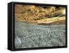 USA, Washington State, Palouse. wheat field and clouds-Terry Eggers-Framed Stretched Canvas