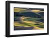 USA, Washington State, Palouse, Wheat Fields-Charles Gurche-Framed Photographic Print