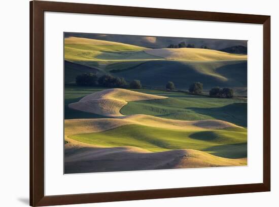 USA, Washington State, Palouse, Wheat Fields-Charles Gurche-Framed Photographic Print