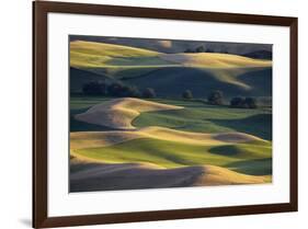 USA, Washington State, Palouse, Wheat Fields-Charles Gurche-Framed Photographic Print