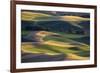 USA, Washington State, Palouse, Wheat Fields-Charles Gurche-Framed Photographic Print