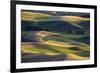 USA, Washington State, Palouse, Wheat Fields-Charles Gurche-Framed Photographic Print