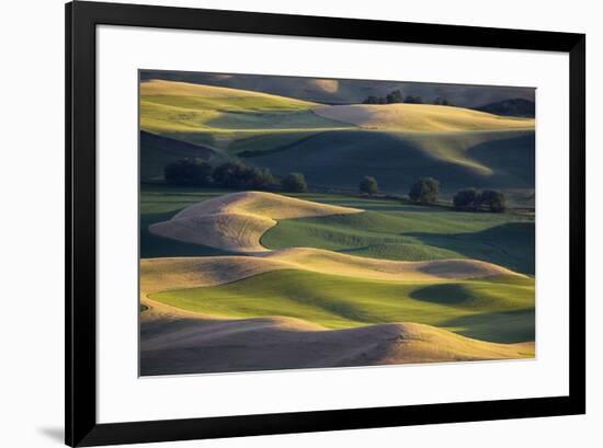 USA, Washington State, Palouse, Wheat Fields-Charles Gurche-Framed Photographic Print