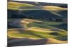 USA, Washington State, Palouse, Wheat Fields-Charles Gurche-Mounted Photographic Print