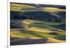 USA, Washington State, Palouse, Wheat Fields-Charles Gurche-Framed Photographic Print