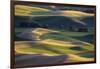 USA, Washington State, Palouse, Wheat Fields-Charles Gurche-Framed Photographic Print