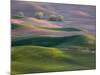 USA, Washington State, Palouse wheat fields-Charles Gurche-Mounted Photographic Print