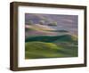 USA, Washington State, Palouse wheat fields-Charles Gurche-Framed Photographic Print