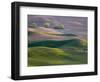 USA, Washington State, Palouse wheat fields-Charles Gurche-Framed Photographic Print