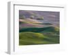 USA, Washington State, Palouse wheat fields-Charles Gurche-Framed Photographic Print