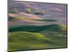 USA, Washington State, Palouse wheat fields-Charles Gurche-Mounted Photographic Print