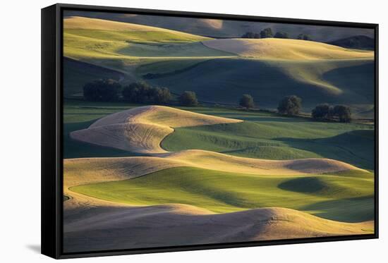 USA, Washington State, Palouse, Wheat Fields-Charles Gurche-Framed Stretched Canvas