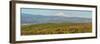USA, Washington State. Panorama of Columbia River Gorge covered in arrowleaf balsamroot and lupine.-Terry Eggers-Framed Photographic Print