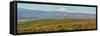 USA, Washington State. Panorama of Columbia River Gorge covered in arrowleaf balsamroot and lupine.-Terry Eggers-Framed Stretched Canvas