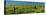 USA, Washington State. Panorama of fence line and wildflowers-Terry Eggers-Stretched Canvas