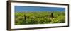 USA, Washington State. Panorama of fence line and wildflowers-Terry Eggers-Framed Photographic Print