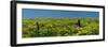 USA, Washington State. Panorama of fence line and wildflowers-Terry Eggers-Framed Photographic Print