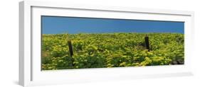 USA, Washington State. Panorama of fence line and wildflowers-Terry Eggers-Framed Photographic Print