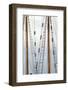 USA, Washington State, Port Townsend. Rigging on a Wooden Schooner-Kevin Oke-Framed Photographic Print